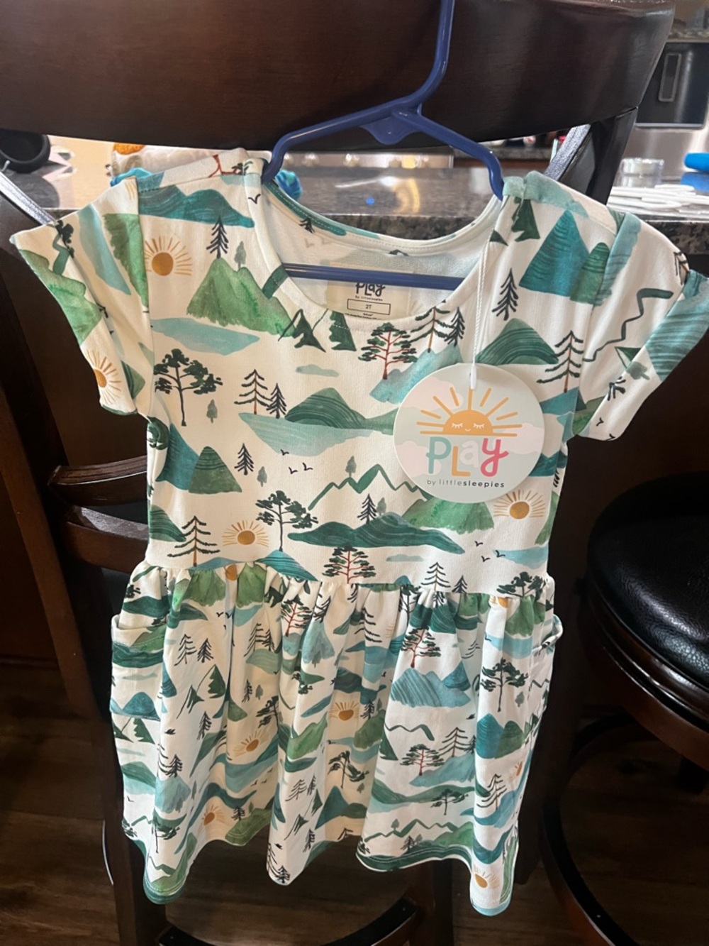 Little sleepies mountain pocket dress